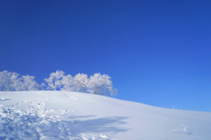 亚布力滑雪旅游度假区游记图文-带着孩子去看东北，感受冰雪的童话世界，雪乡
