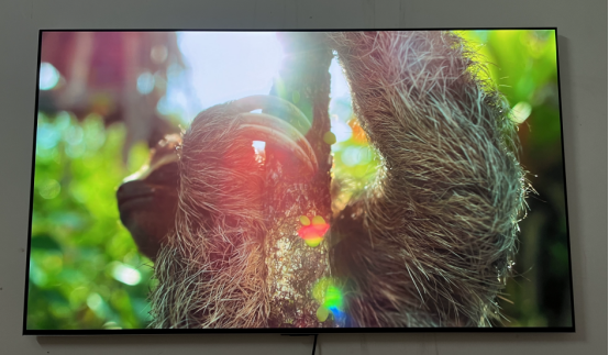 LG G3 OLED：超优质电视的完美代表！惊艳画质让你瞠目结舌