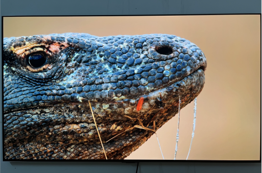 LG G3 OLED：超优质电视的完美代表！惊艳画质让你瞠目结舌