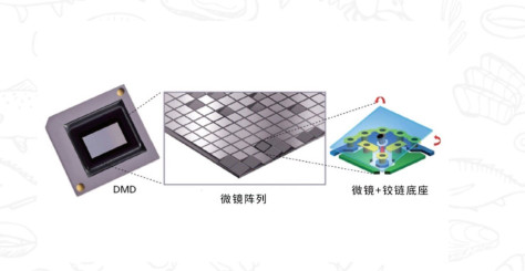 LCD、DLP和LCoS哪个好？投影仪显示技术原理科普！