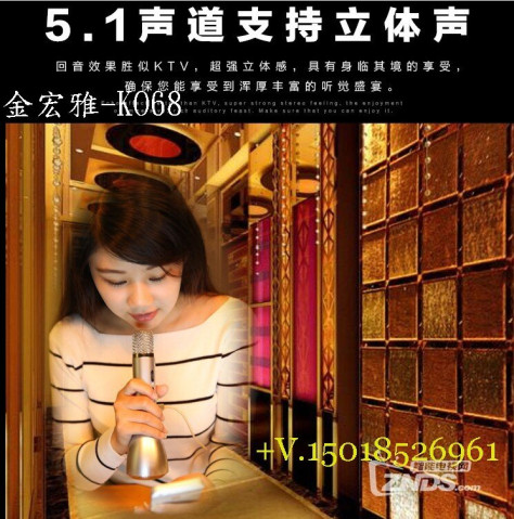 金宏雅欢乐神器掌上KTV-K068