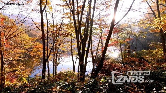 [4K高清]福島裏磐梯の大沢沼の紅葉 日本の紅葉[2160P/MP4/668M]