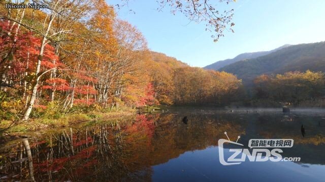 [4K高清]福島裏磐梯の大沢沼の紅葉 日本の紅葉[2160P/MP4/668M]