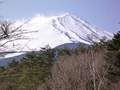 冬季去东京_富士山_伊豆双飞六日游价格_日本两人团报价