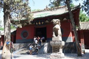 少林寺旅游团一日游^三环内接+赠无线耳麦+赏武术表演+保险