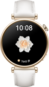 HUAWEI WATCH GT 4 多样表盘