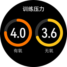 HUAWEI WATCH GT Runner 训练建议