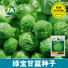 厂家批发甘蓝种子绿色圆球包菜种籽家庭菜园洋白菜卷心菜菜种子