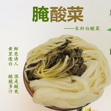 全形精制白菜腌菜腌咸菜大全农家腌白菜商用咸白菜开胃下饭菜酸菜