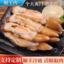 蛏王肉新鲜冷冻蛏子肉海鲜竹节蛏子冰冻海蛏子肉海鲜贝类水产批发