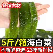 海白菜新鲜5斤盐渍裙带菜梗海带叶海菠菜非干货海藻荣成整箱包邮