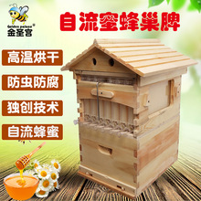 厂家批发金圣宫自流蜜蜂箱 Flow hive煮蜡蜜蜂箱批发 养蜂箱工具