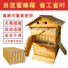 出口型全煮蜡自流蜜蜂箱独立包装 自流蜜蜂箱 自流蜜装置含隔王板