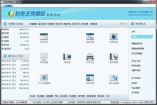 财务王简易版