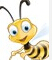 比特蜜蜂(BitBee)2009-1-1 正式版