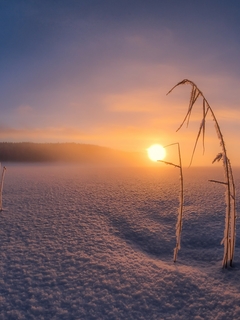 好看的冬季雪景风景图片桌面壁纸