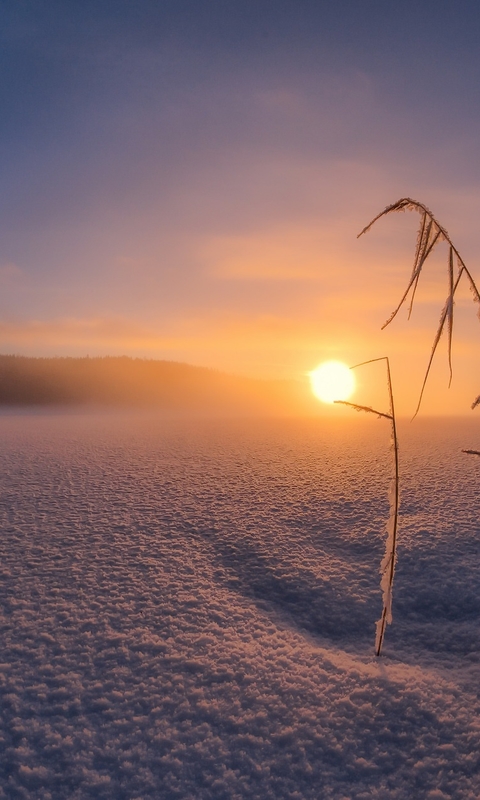 好看的冬季雪景风景图片桌面壁纸