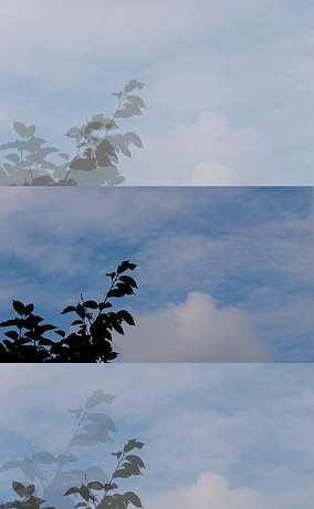 唯美安静蓝色天空树影摄影图
