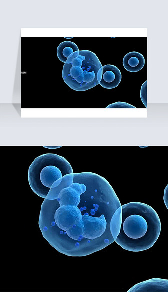 3D医疗视频细胞分裂截图