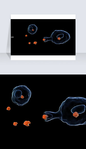 3D医疗视频吞噬细胞截图