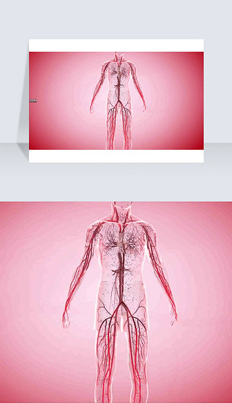 3D医疗视频通过血液释放到全身截图