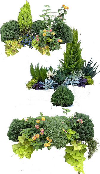 花境植物搭配商业花箱造景小清新PSD贴图