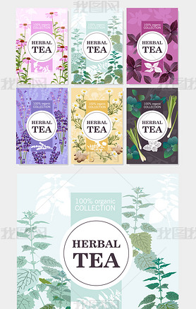 2019时尚红茶绿茶产品包装设计模版矢量素材
