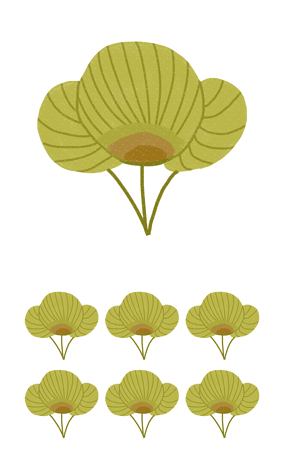 植物6