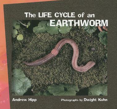 The Life Cycle of an Earthworm