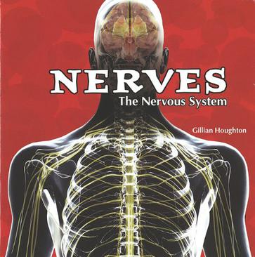 The Nervous System