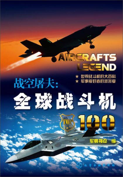 战空屠夫：全球战斗机100