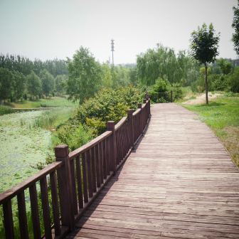 山西省中医药大学