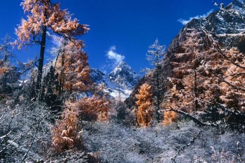 立冬雪景