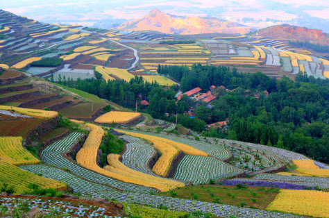 安丘山区梯田