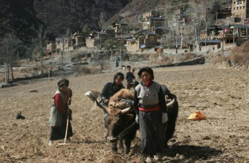 嘉绒藏族春耕仪式活动图片