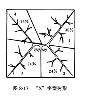 “X”字型树形