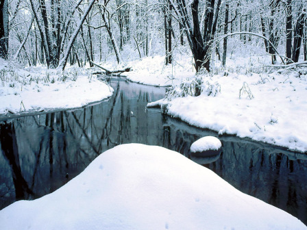 立冬雪景