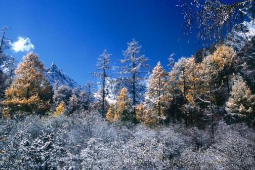 立冬雪景