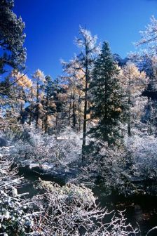 立冬雪景