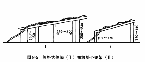 倾斜大棚架（Ⅰ）和倾斜小棚架（Ⅱ）