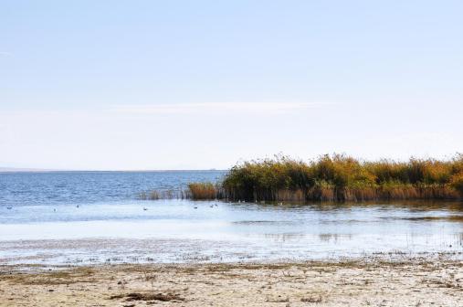 可鲁克湖-托素湖自然保护区风光