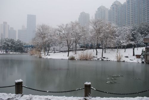 立冬雪景