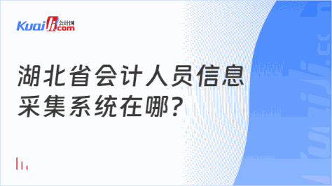 湖北省会计人员信息\n采集系统在哪？