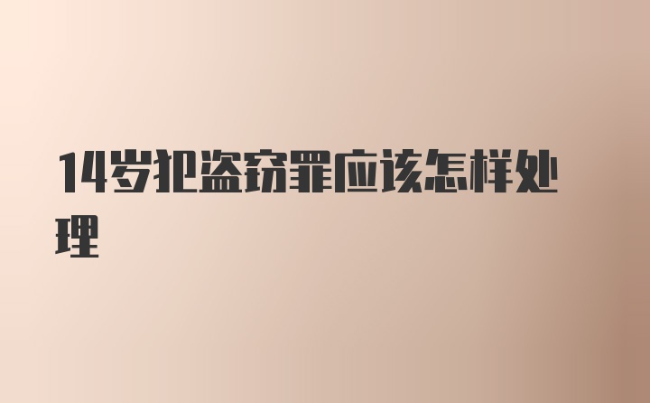 14岁犯盗窃罪应该怎样处理