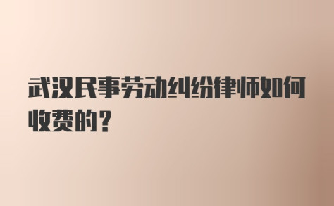 武汉民事劳动纠纷律师如何收费的？