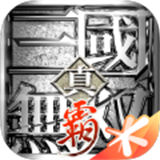 真三国无双霸公测版