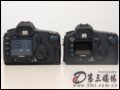 [大图6]佳能EOS 5D数码相机