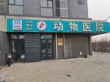 北京动物医院转让 顺宠国际