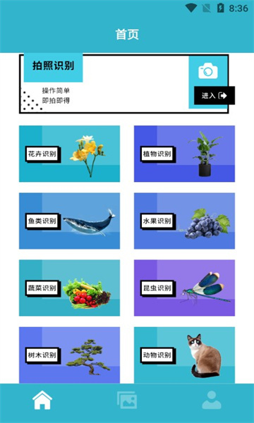 动植物识别app