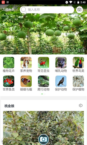 万物识别扫一扫app软件